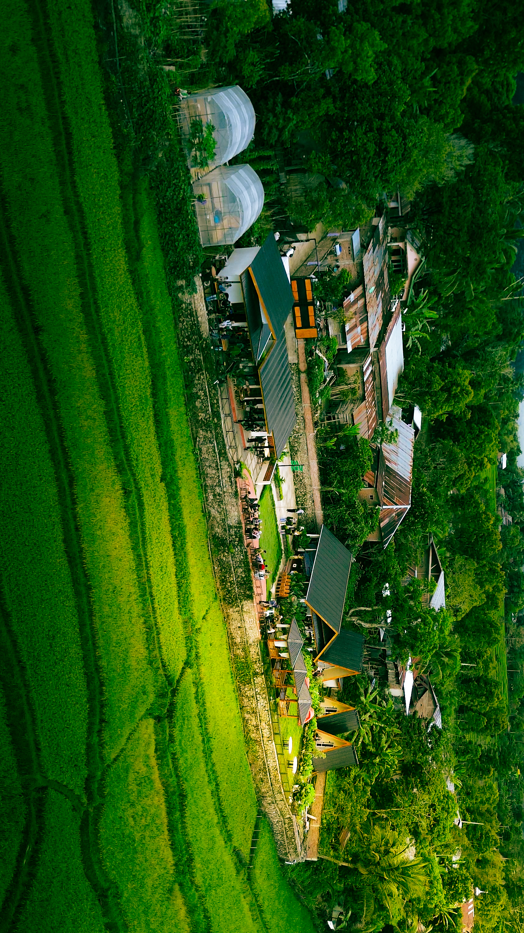 Suasana Kafe