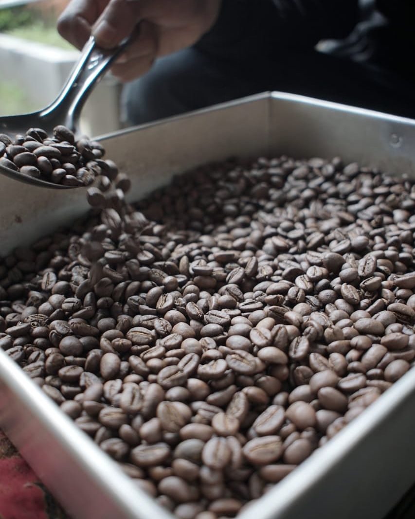 Roasting Beans